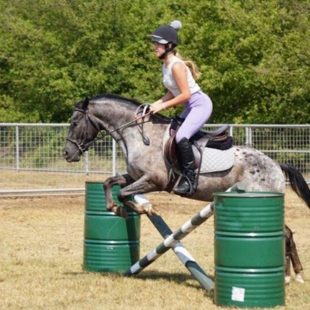Major need of riding shirts and breeches really anything horsey